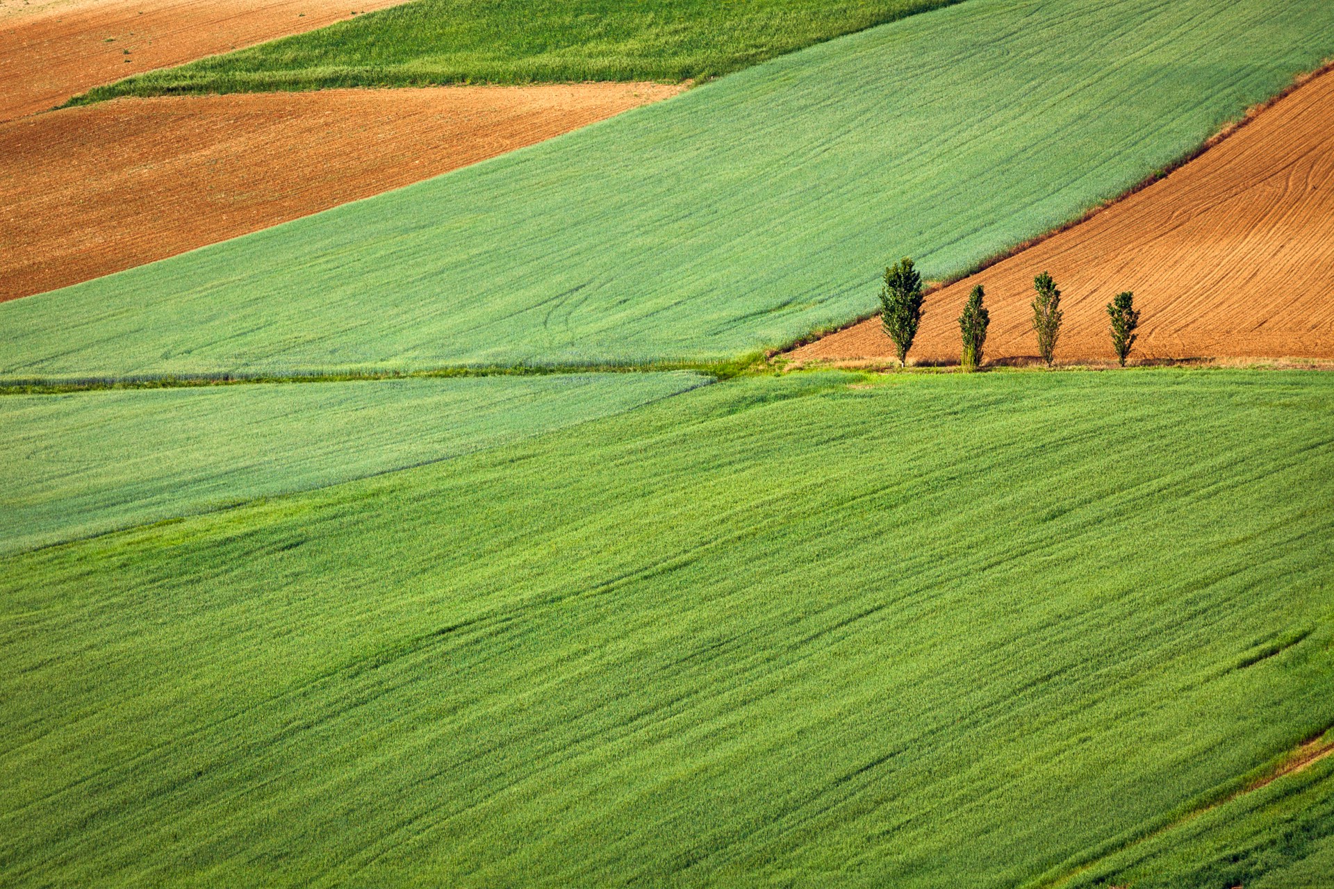 Un hub culturale e creativo a San Salvatore Monferrato